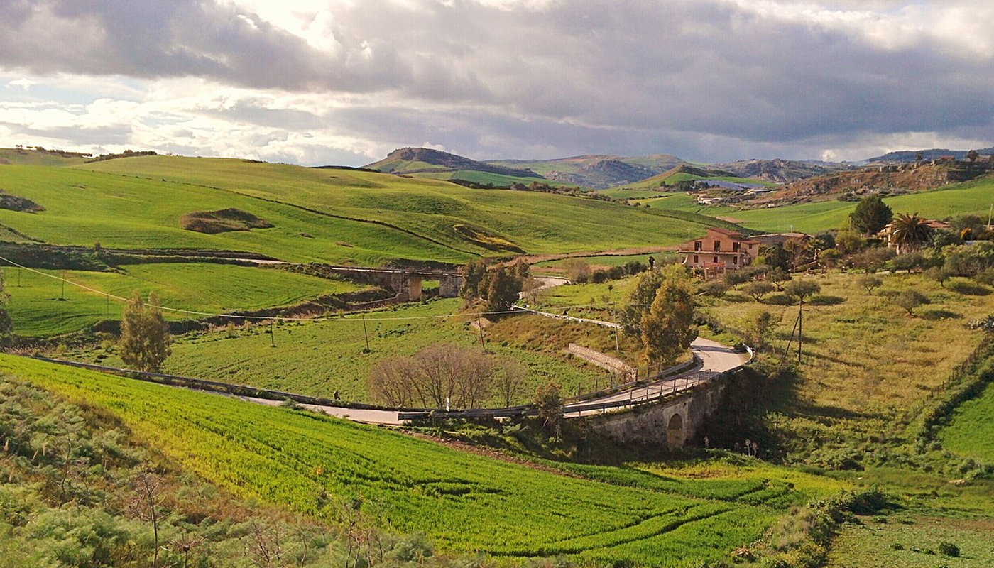 In una bellissima e tranquilla zona collinare immersa nel paesaggio verde, troviamo un allevamento di asini per la produzione di latte.