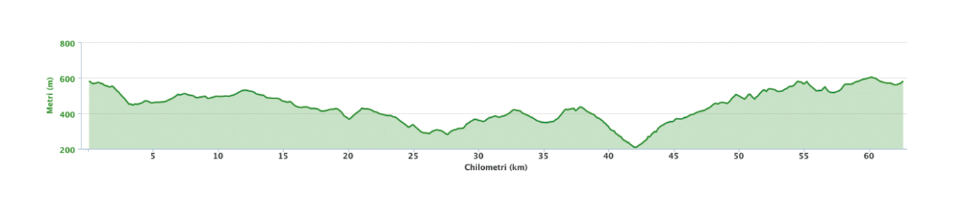 Altimetria