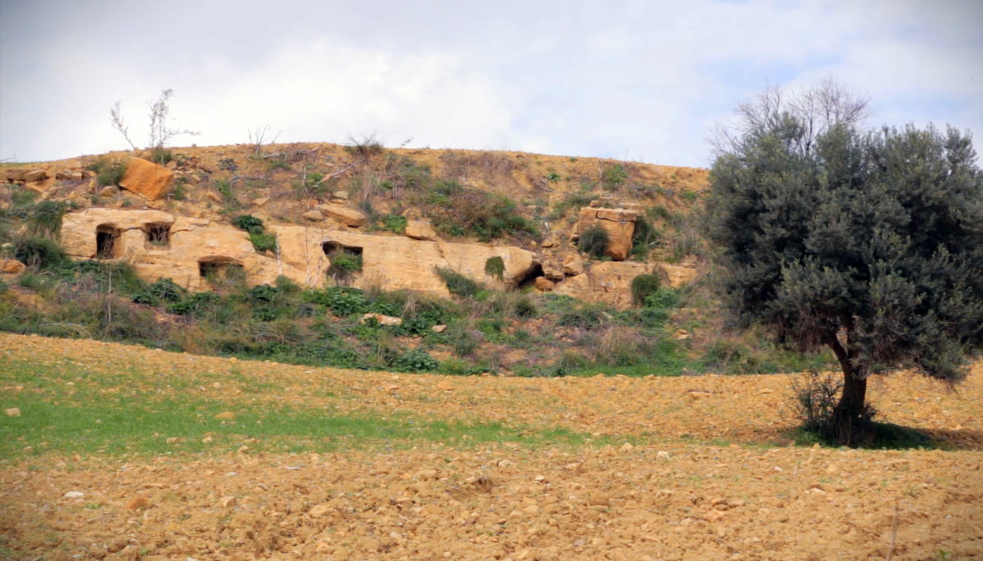 A poca distanza dal museo archeologico a possibile contemplare la Zona Archeologica di Caltanissetta. La montagna di Sabucina si trova a circa 10 Km della città. Sul sito di Sabucina si susseguirono una serie di insediamenti, i quali, scanditi da poche interruzioni, si collocano cronologicamente dall'età del bronzo antico (fine III - inizi del II millennio a. C.) all'età ellenistica (inizi del Ill sec. a. C.).