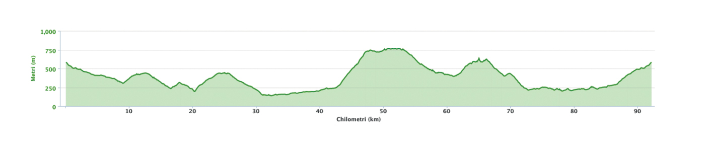 Altimetria