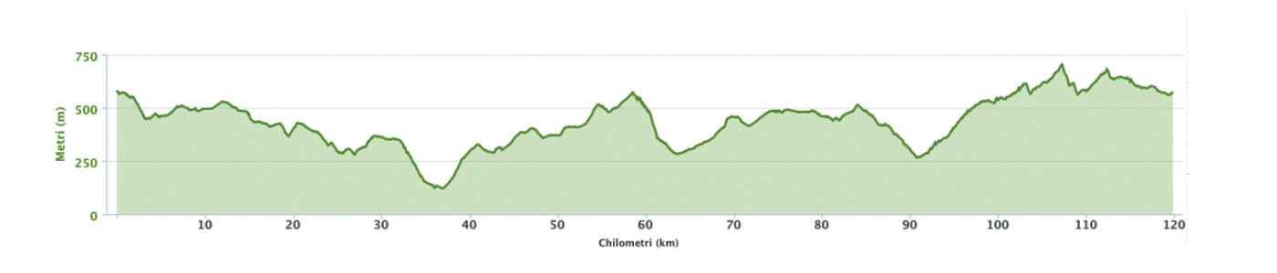 Altimetria